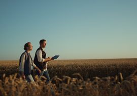 Zwei Landwirte laufen durch ein Weizenfeld mit einem Tablet in der Hand