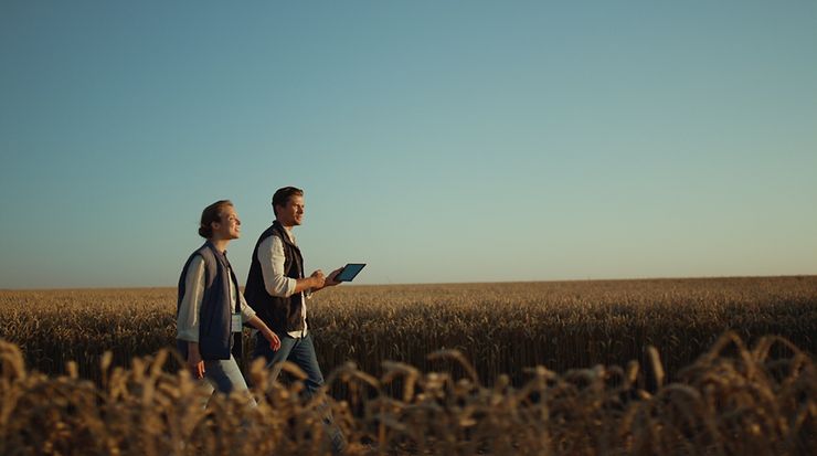 Zwei Landwirte laufen durch ein Weizenfeld mit einem Tablet in der Hand